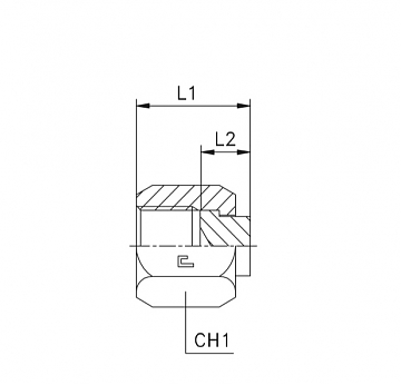 Заглушка с гайкой ORFS 2"