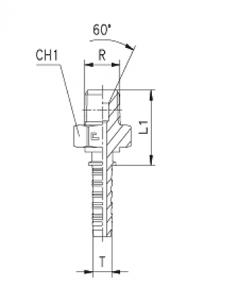 BSPT 3/8"-19/0-06 DN10