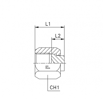 Заглушка с гайкой ORFS 1"